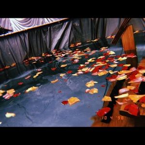 Meet your Posher, Betsaida